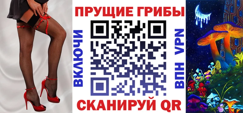 Псилоцибиновые грибы мицелий  купить закладку  Южа 